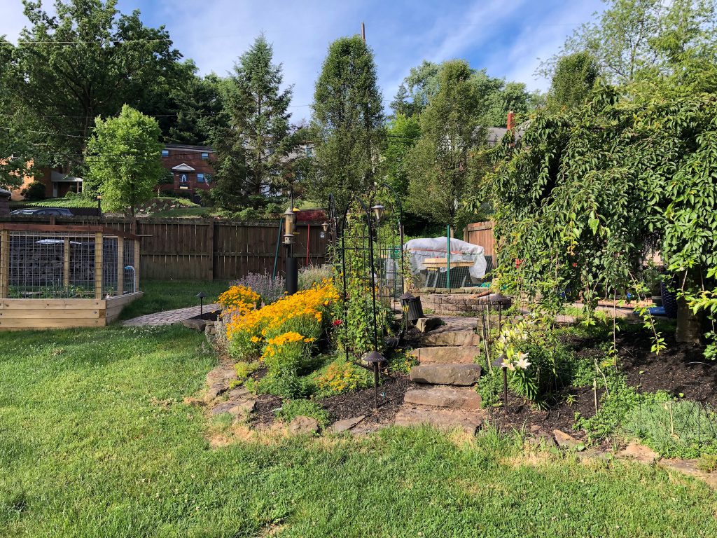 53097FAC-1868-4064-8618-FEF948163E7A