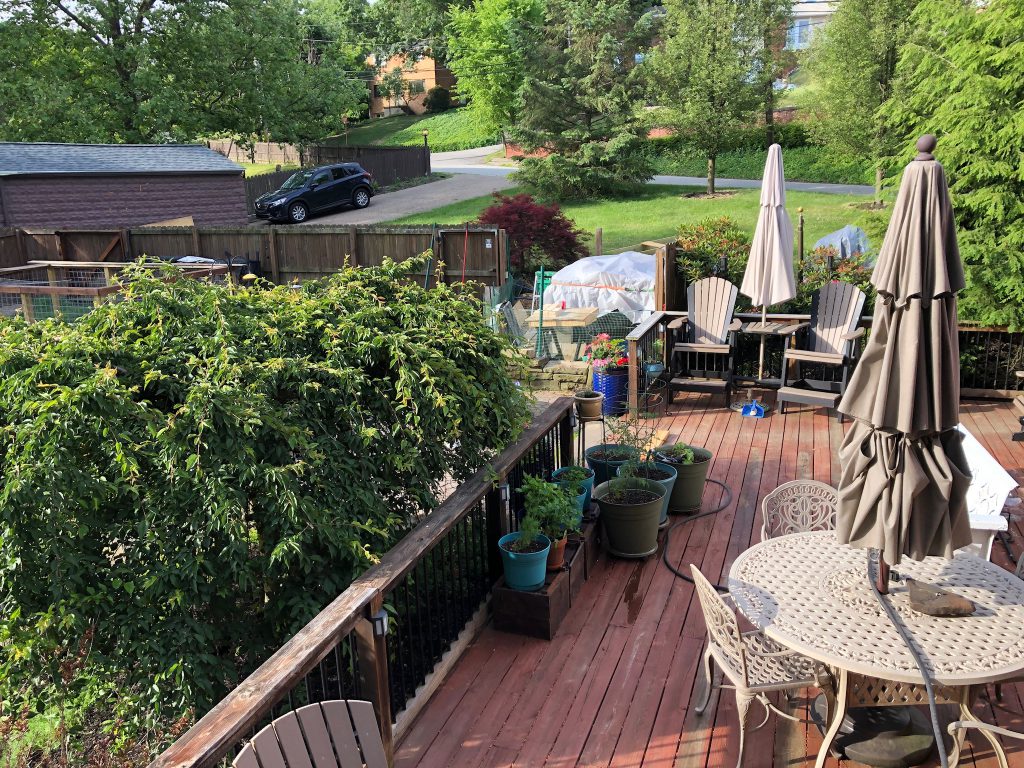 C9B67377-E12D-46C5-BC3C-9B33173E2554