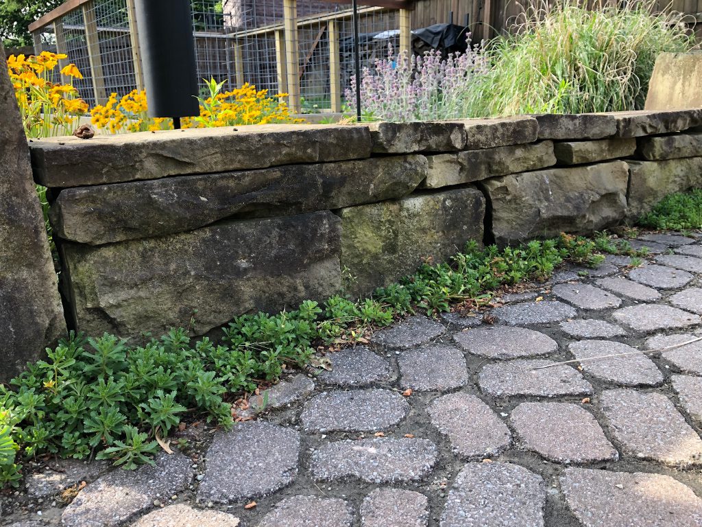 E7B11754-A033-4161-9986-42452D1262CA